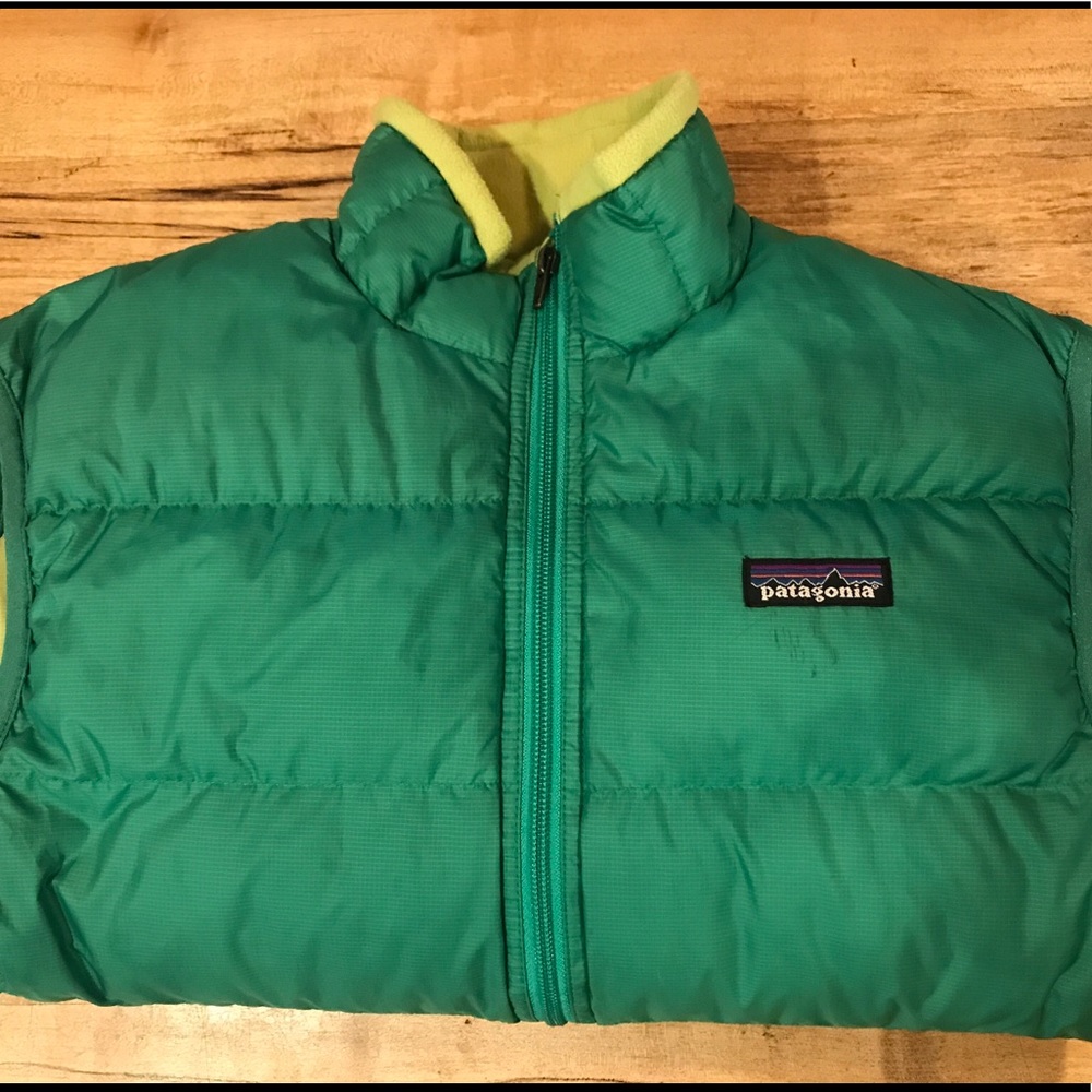 Patagonia Puffer Vest